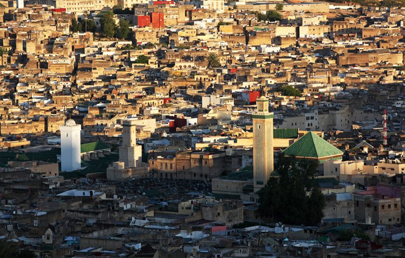 La médina de Fès vue depuis la colline des tombes Mérinides, Maroc - 2016