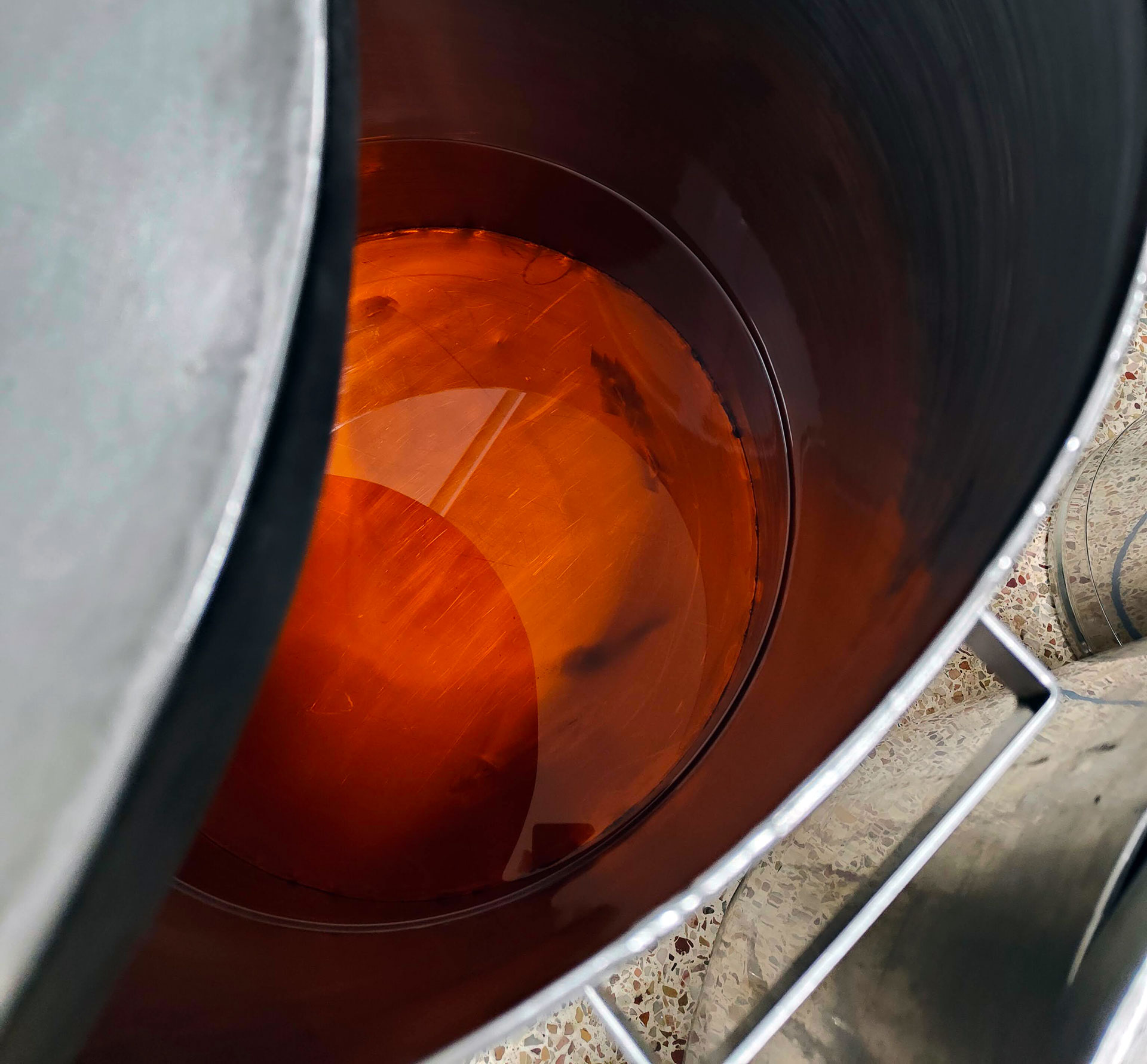 Huile d'Argan en cours de décantation en cuve inox