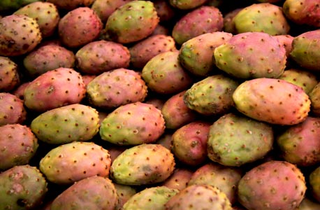 Figues de Barbarie sur un étal dans la Médina de Fés